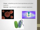 Mikroorganizmų sukeliamos ligos 4 puslapis