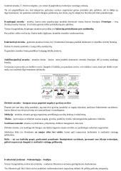 Pasiruošimas apie evoliuciją 4 puslapis