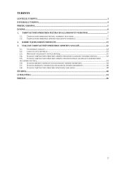 Italijos tarptautinės prekybos apimtis įtakojančių veiksmų vertinimas 2 puslapis