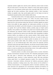 Italijos tarptautinės prekybos apimtis įtakojančių veiksmų vertinimas 11 puslapis