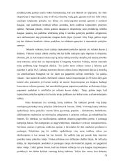 Italijos tarptautinės prekybos apimtis įtakojančių veiksmų vertinimas 13 puslapis