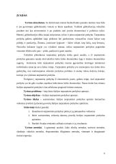 Italijos tarptautinės prekybos apimtis įtakojančių veiksmų vertinimas 6 puslapis