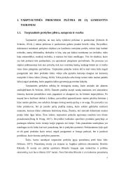 Italijos tarptautinės prekybos apimtis įtakojančių veiksmų vertinimas 7 puslapis