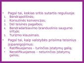 Tarptautinės prekybos teisė logistikoje 12 puslapis