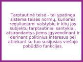 Tarptautinės prekybos teisė logistikoje 4 puslapis