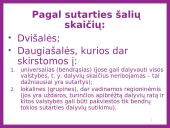 Tarptautinės prekybos teisė logistikoje 10 puslapis