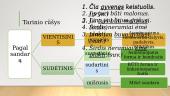 Sakinio dalys ir jų raiška - veiksnys ir tarinys 8 puslapis
