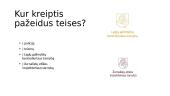 LR konstitucija. Piliečių ekonominės, socialinės teisės ir laisvės 12 puslapis