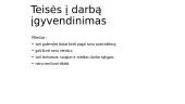 LR konstitucija. Piliečių ekonominės, socialinės teisės ir laisvės 8 puslapis