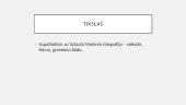 Vytautis Mačernis bei jo biografija 2 puslapis