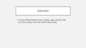 Vytautis Mačernis bei jo biografija 11 puslapis
