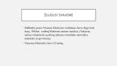 Vytautis Mačernis bei jo biografija 14 puslapis