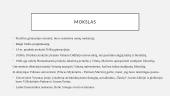 Vytautis Mačernis bei jo biografija 6 puslapis