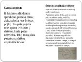 Šviesos atsipndys 3 puslapis