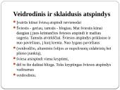Šviesos atsipndys 4 puslapis