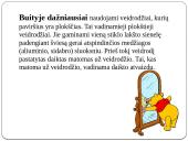 Šviesos atsipndys 5 puslapis