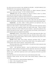 Vadybos samprata, turinys ir objektas 2 puslapis