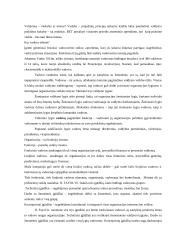 Vadybos samprata, turinys ir objektas 3 puslapis