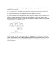 Hans Gross ir kriminalinė (kriminalistinė) psichologija 3 puslapis