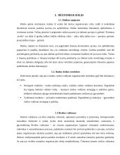 Banke taikomi finansinės rizikos valdymo ir kontrolės metodai 4 puslapis