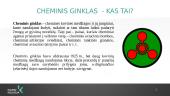 Cheminis ginklas 2 puslapis