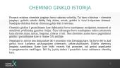 Cheminis ginklas 3 puslapis