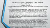 Tarptautinė oro transporto asociacija (IATA)  11 puslapis