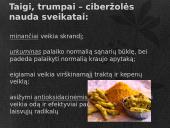 Kas yra ciberžolė? 5 puslapis