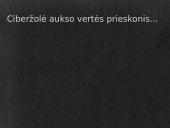 Kas yra ciberžolė? 7 puslapis
