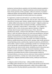 Faktai  apie Vaižgantą 4 puslapis