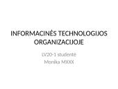 Informacinės technologijos organizacijoje