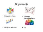 Informacinės technologijos organizacijoje 6 puslapis