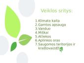 Aplinkos Ministerija 4 puslapis