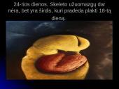 Unikali gyvybės vystymosi istorija 13 puslapis