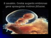 Unikali gyvybės vystymosi istorija 18 puslapis