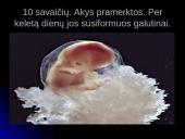 Unikali gyvybės vystymosi istorija 19 puslapis