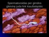 Unikali gyvybės vystymosi istorija 3 puslapis