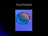 Unikali gyvybės vystymosi istorija 4 puslapis