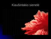 Unikali gyvybės vystymosi istorija 6 puslapis