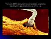 Unikali gyvybės vystymosi istorija 8 puslapis