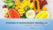 Vitaminai ir neorganinės medžiagos