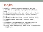 Įvardžiuotinių formų galūnių rašyba 2 puslapis