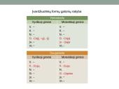 Įvardžiuotinių formų galūnių rašyba 6 puslapis