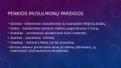 Islamo religijos apžvalga 4 puslapis