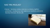 Muilo gamyba 2 puslapis