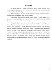 Krikščioniškoji įstatymų samprata ir dorovinė žmogaus veikla 2 puslapis