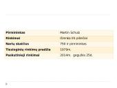 Europos Sąjungos parlamentas 3 puslapis