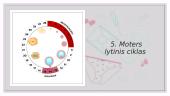 Moters lytinis ciklas 6 puslapis
