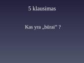 Kristijono Donelaičio „Metų” išmintis 12 puslapis