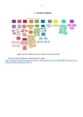 Kelionių maršruto tipų charakteristikos apžvalga 4 puslapis